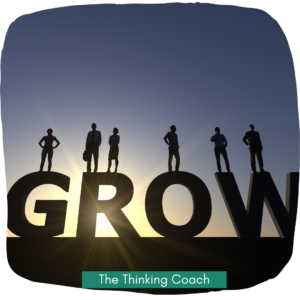 Innovative Thinking Skills - Professional Growth