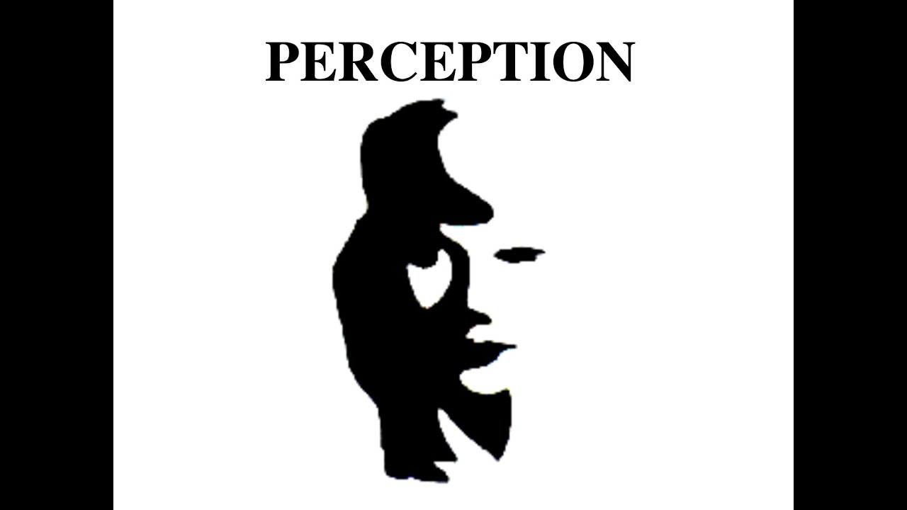 perception vs reality examples