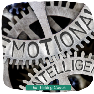 Momentum in Leadership - Emotional Intelligence